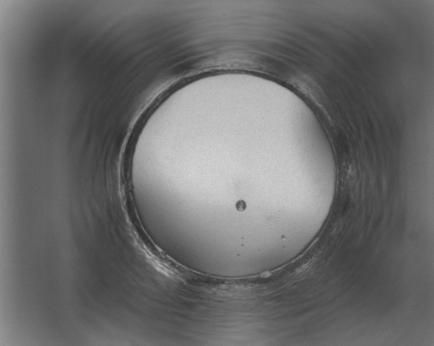 X0000067521082200604211811