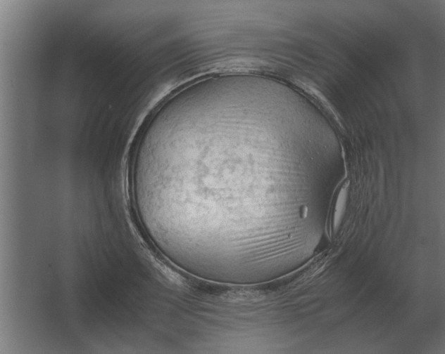 X0000067521083200604211811