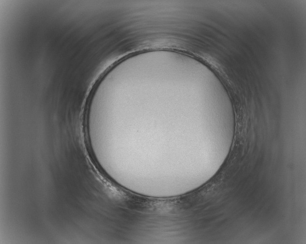 X0000067521086200604211811