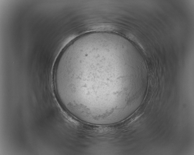 X0000067521087200604211810