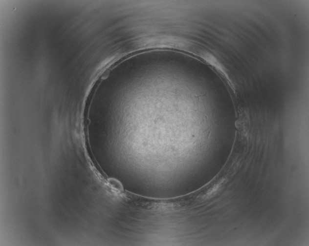 X0000067521088200604211810