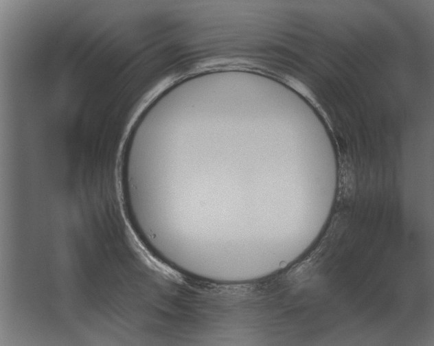 X0000067521090200604211810