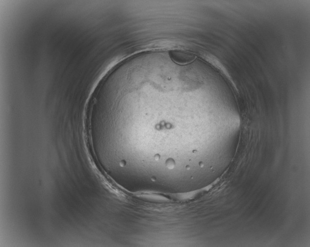 X0000067521091200604211810