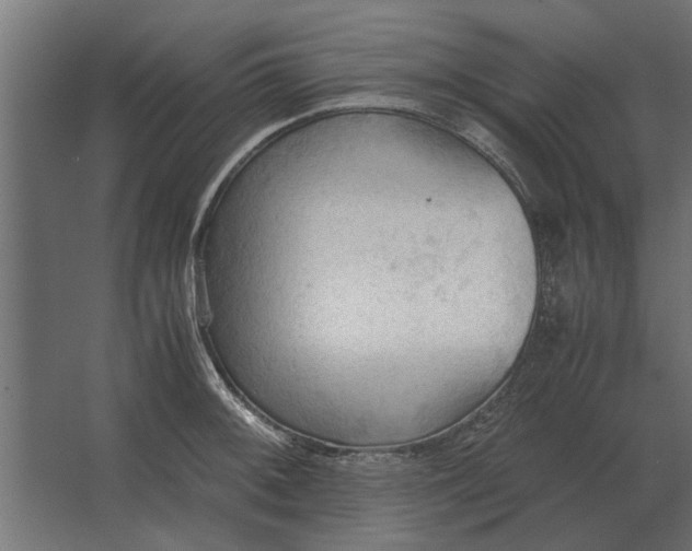 X0000067521092200604211810