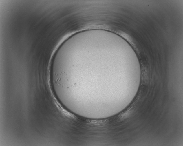 X0000067521094200604211810