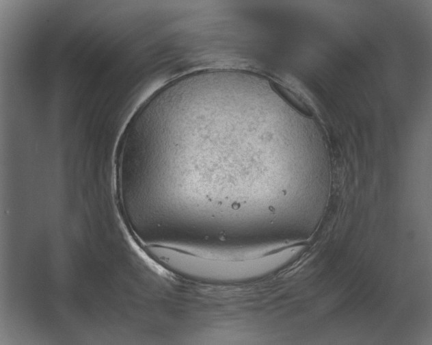 X0000067521095200604211810