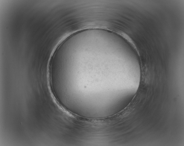 X0000067521096200604211810