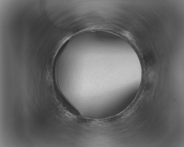 X0000067521097200604211810