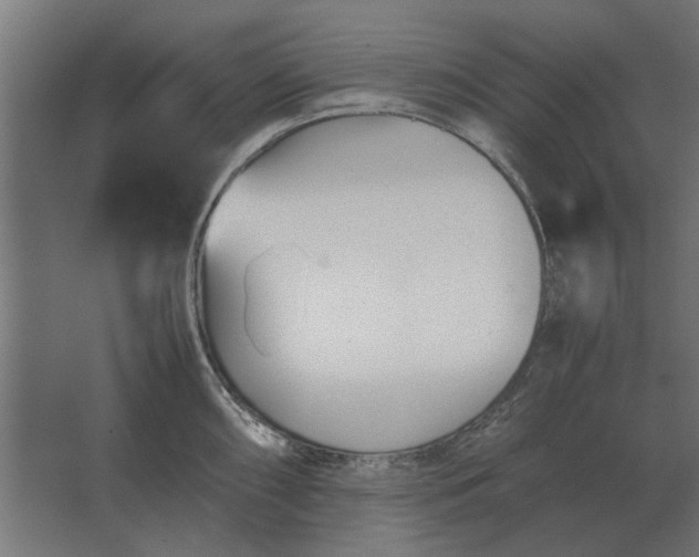 X0000067521098200604211810