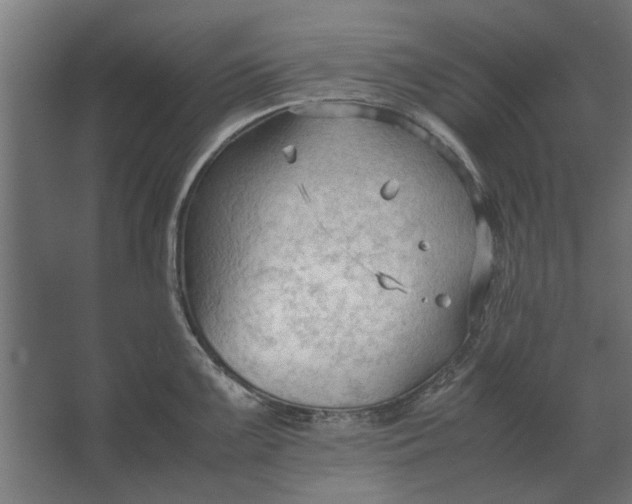 X0000067521099200604211810