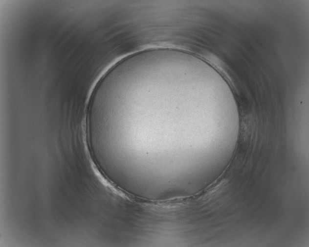 X0000067521100200604211810