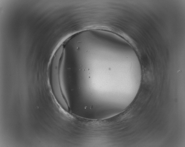 X0000067521102200604211810