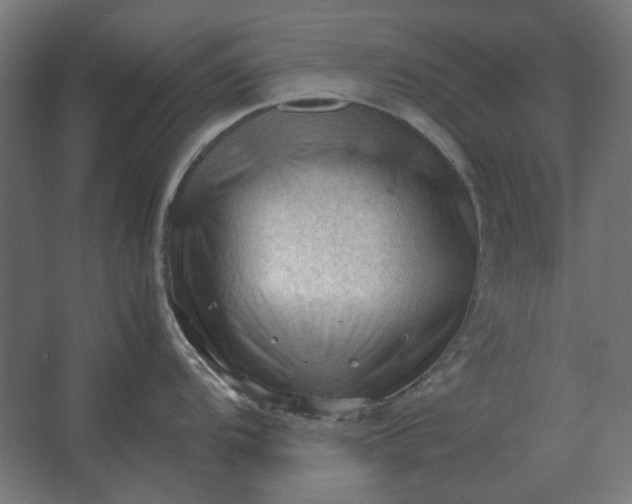 X0000067521104200604211810