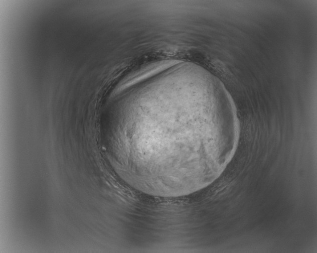 X0000067521105200604211809