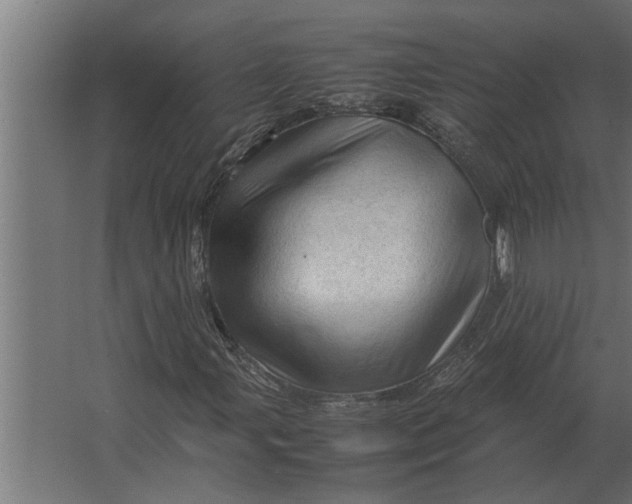 X0000067521107200604211809