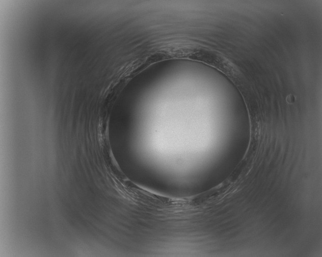 X0000067521108200604211809