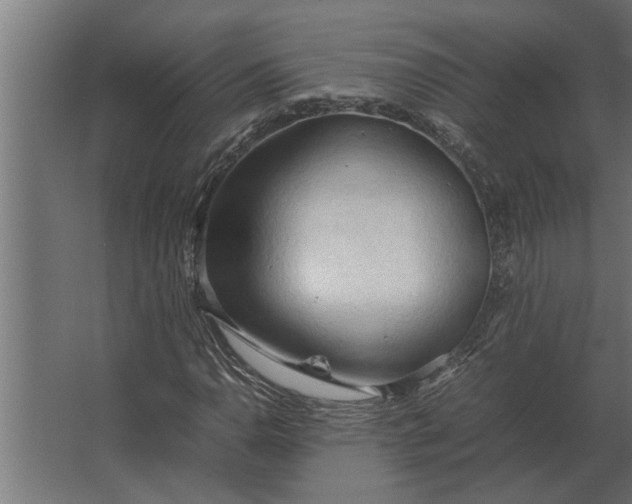 X0000067521110200604211809