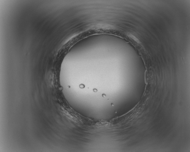 X0000067521112200604211809