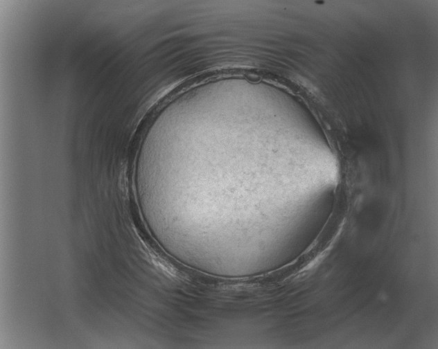 X0000067521113200604211810