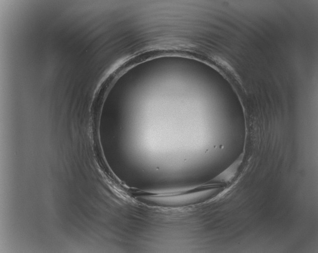 X0000067521114200604211810