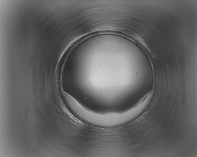 X0000067521116200604211810