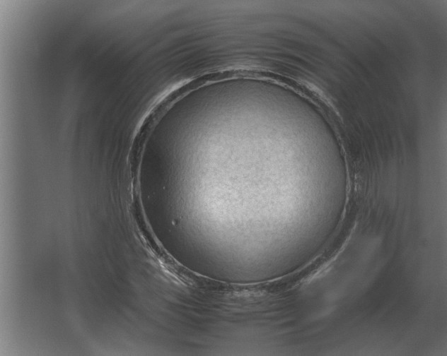 X0000067521117200604211810