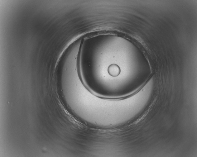 X0000067521118200604211810