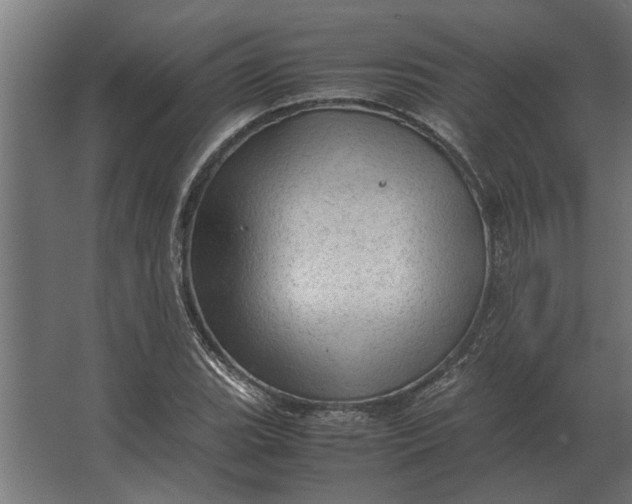 X0000067521119200604211810