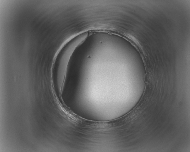 X0000067521120200604211810