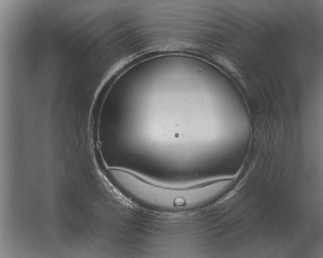 X0000067521122200604211810