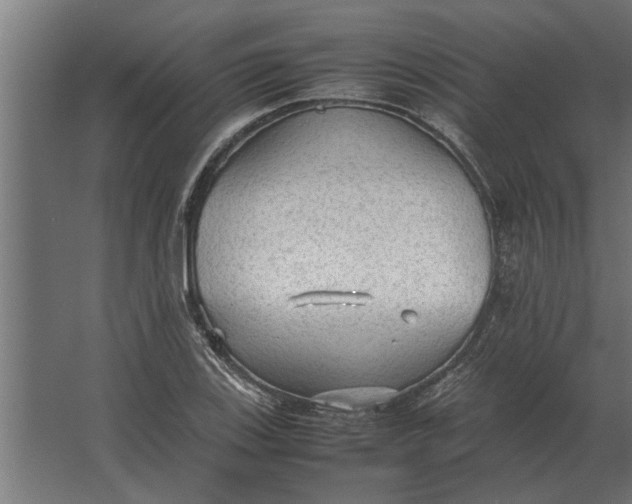 X0000067521123200604211810