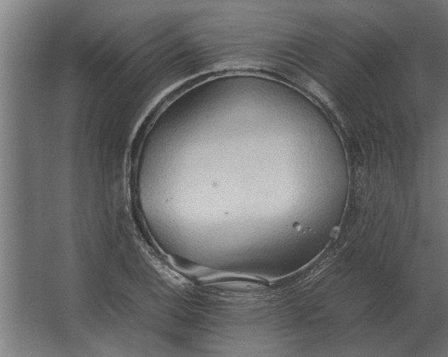 X0000067521124200604211810