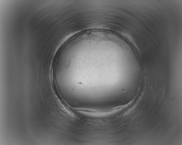 X0000067521125200604211810