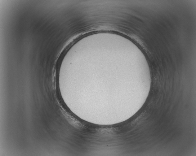 X0000067521126200604211810