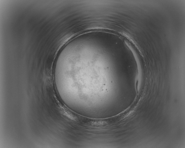 X0000067521129200604211810