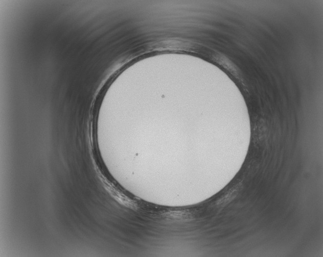 X0000067521130200604211810