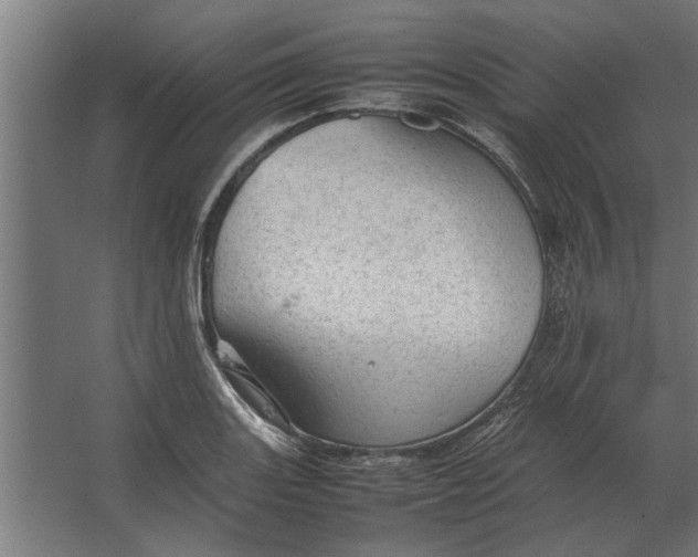 X0000067521131200604211810