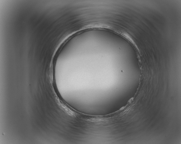 X0000067521132200604211810