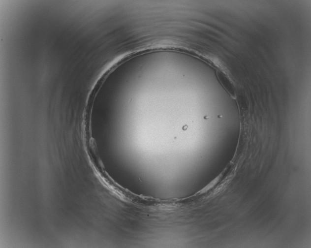 X0000067521134200604211810