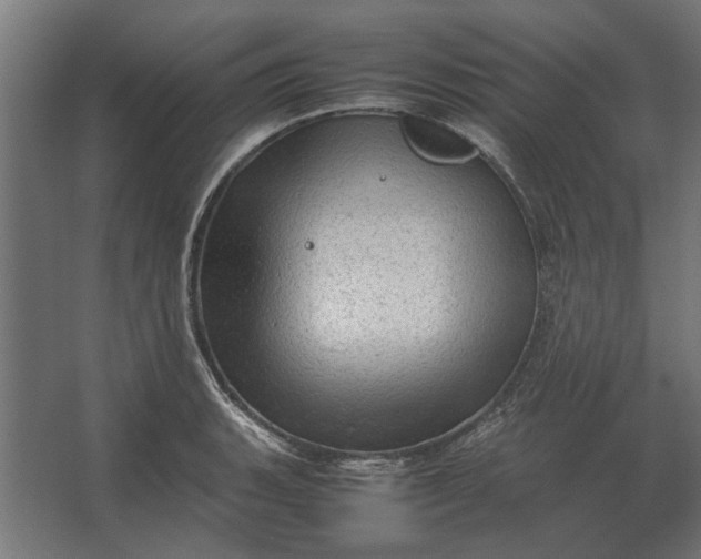 X0000067521135200604211810