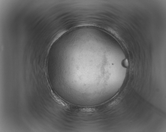 X0000067521137200604211810