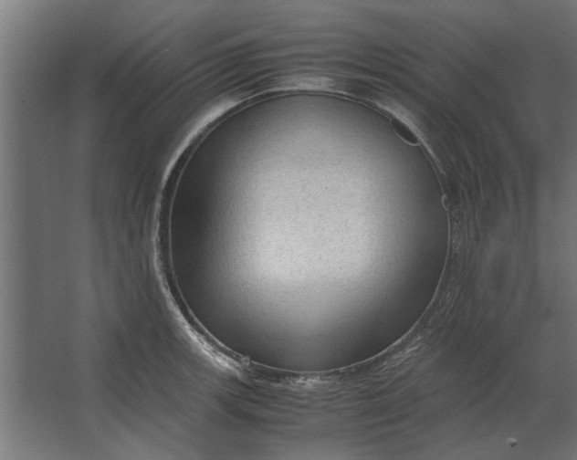 X0000067521139200604211810