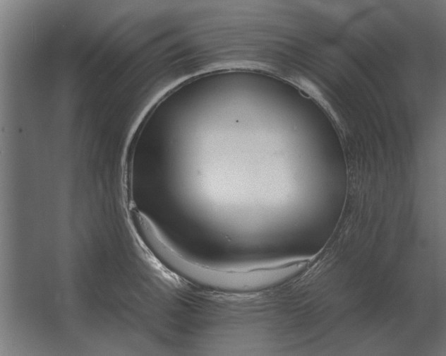 X0000067521140200604211810