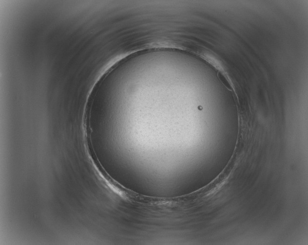 X0000067521141200604211810