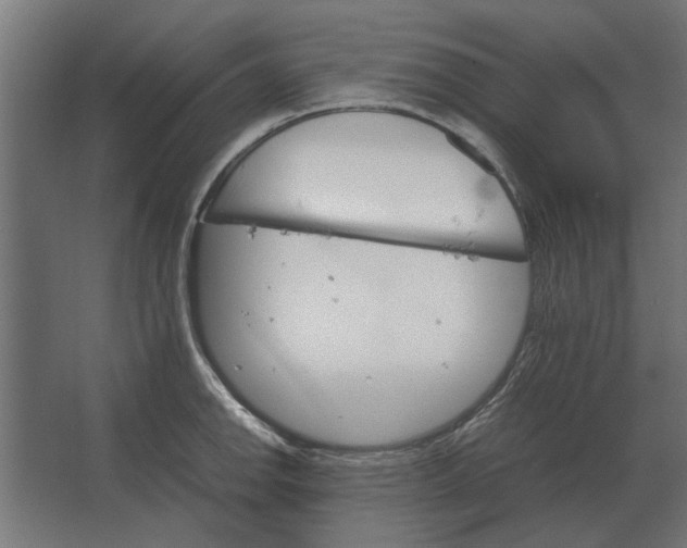 X0000067521142200604211810