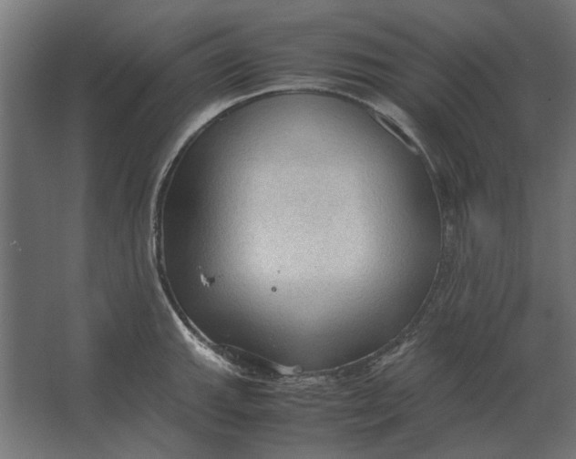 X0000067521143200604211810