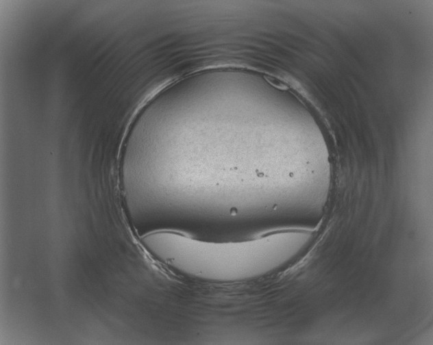 X0000067521145200604211810