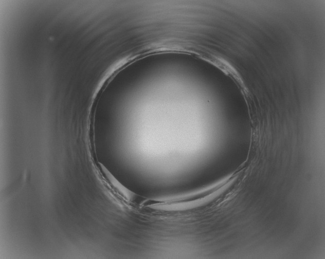 X0000067521146200604211810