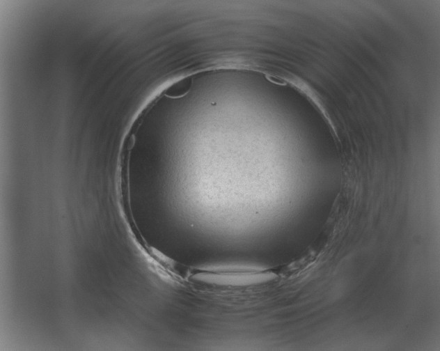 X0000067521147200604211810