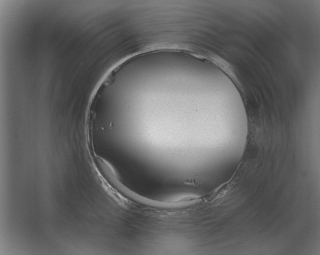 X0000067521148200604211810